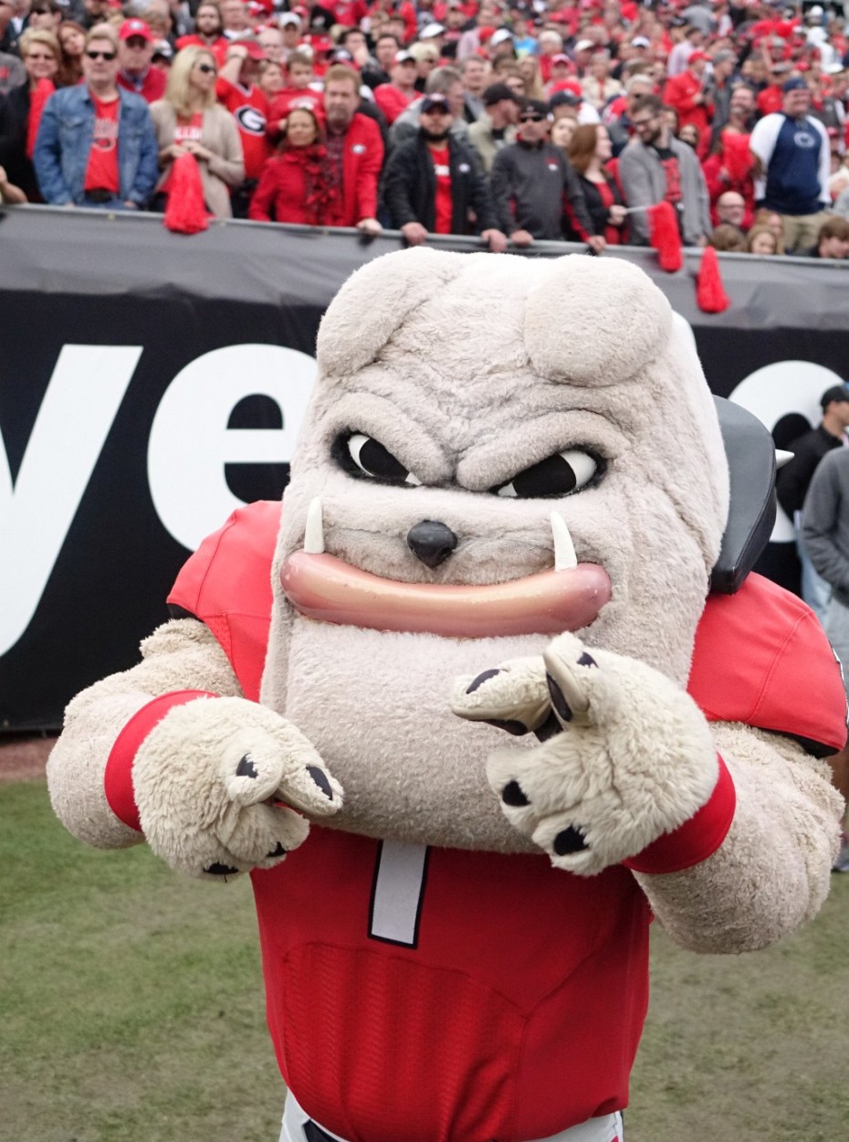 Hairy Dawg - 2nd half of TaxSlayer Bowl 02-JAN-2016 (Photo by Greg Poole)