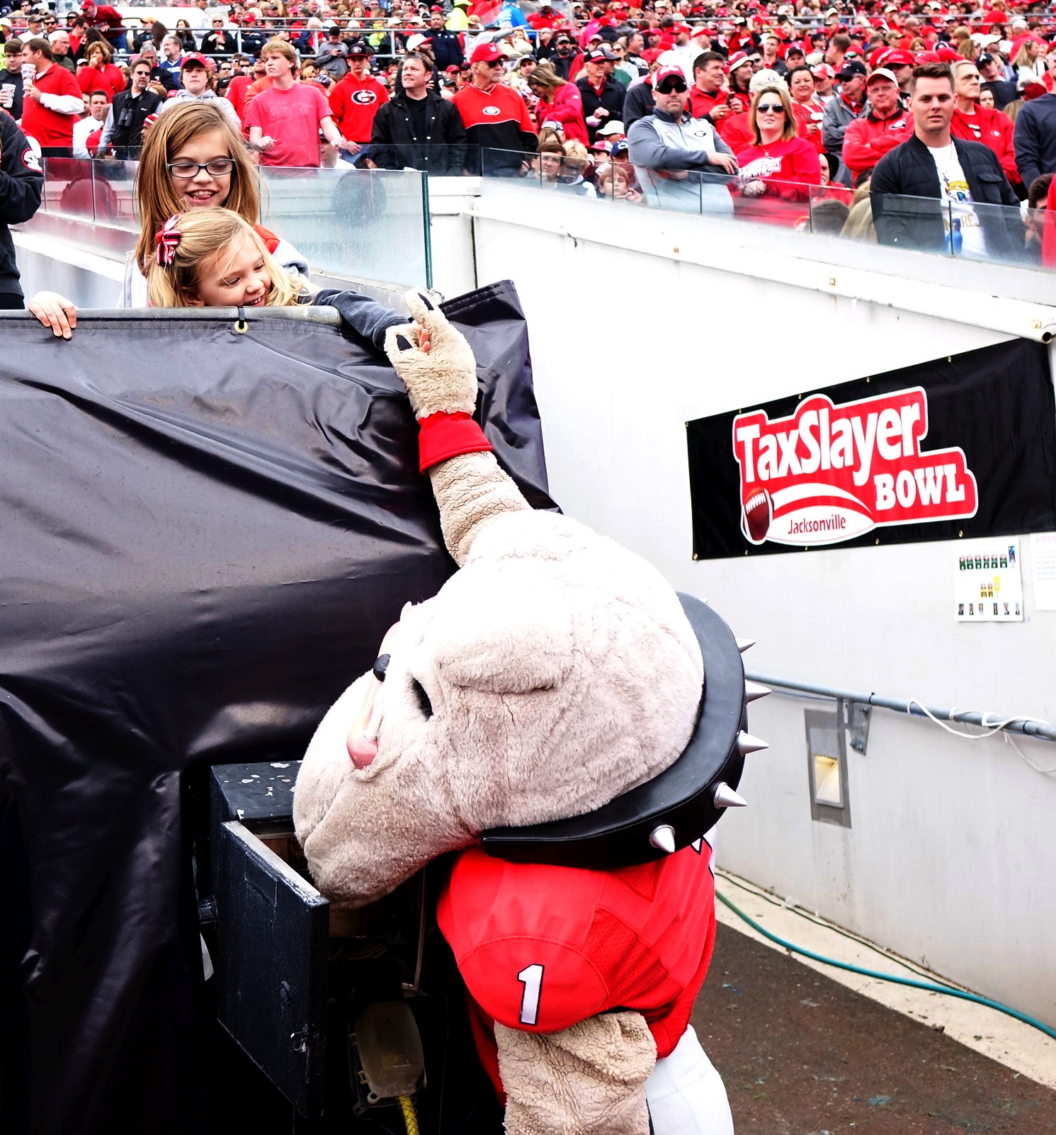 Hairy Dawg and some young Georgia pups -TaxSlayer Bowl - 02-JAN-2015 (Photo by Greg Poole/Bulldawg Illsutrated)