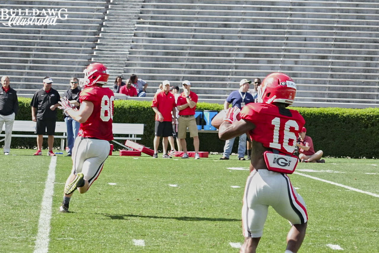 Charlie Hegedus (80) and Isaiah McKenzie (16)