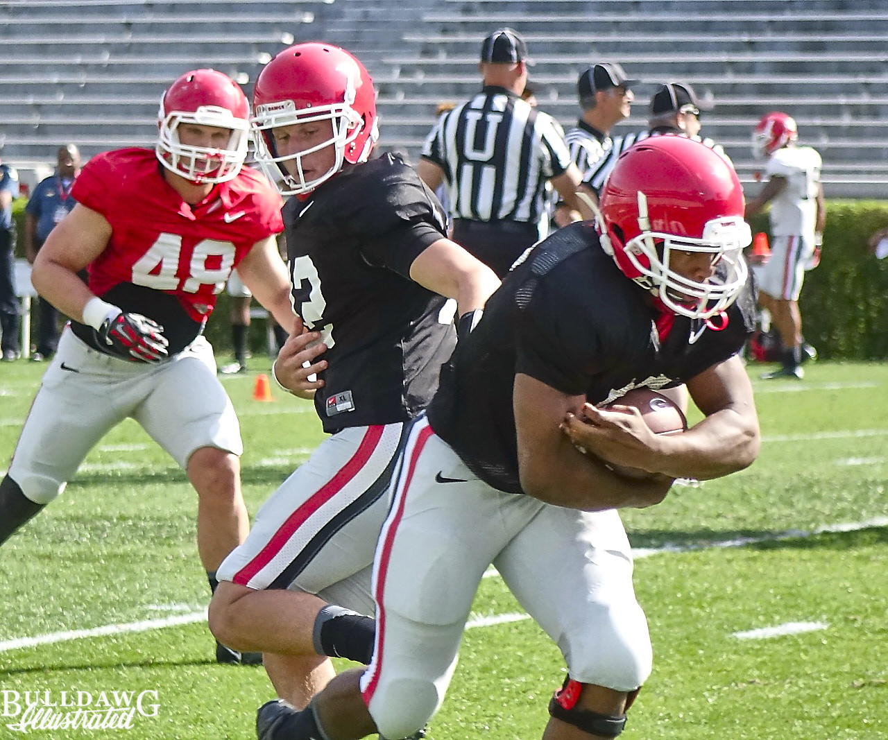 Brice Ramsey hands off to Nick Chubb