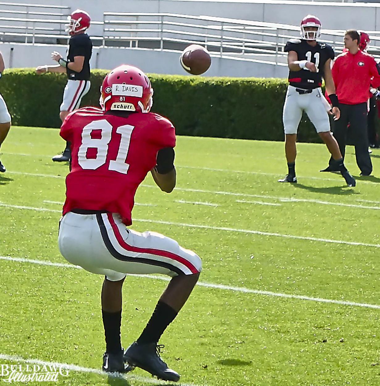 Reggie Davis