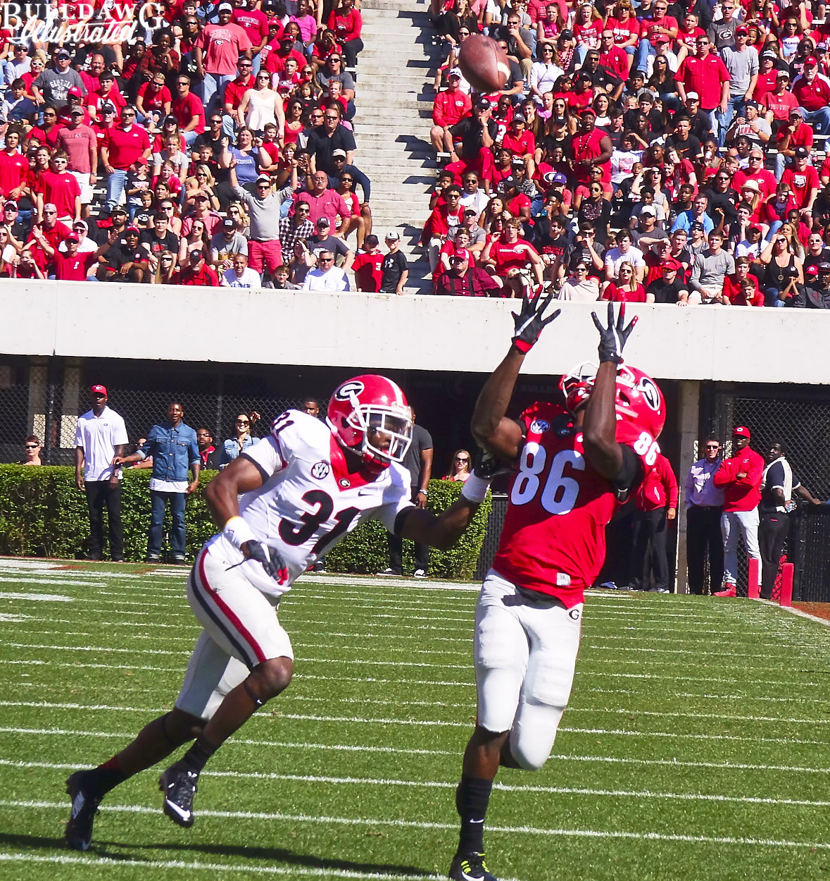 Riley Ridley (86)