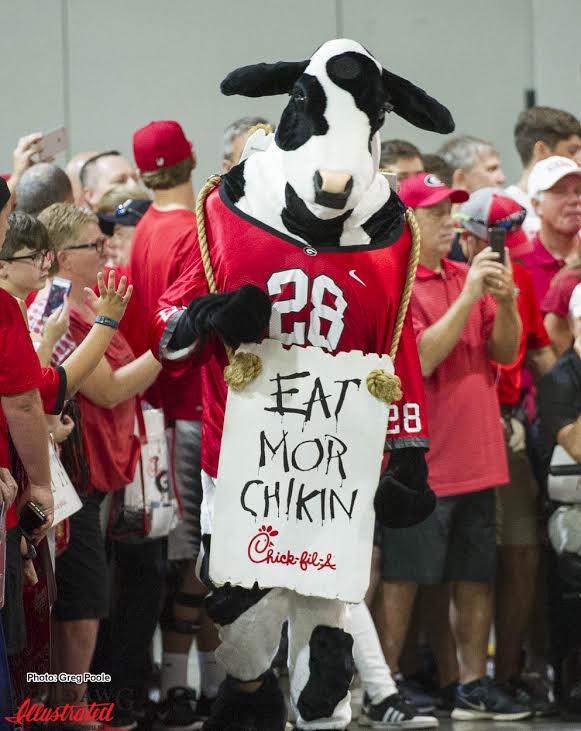 Even the Chick-fil-A cow is a Georgia fan