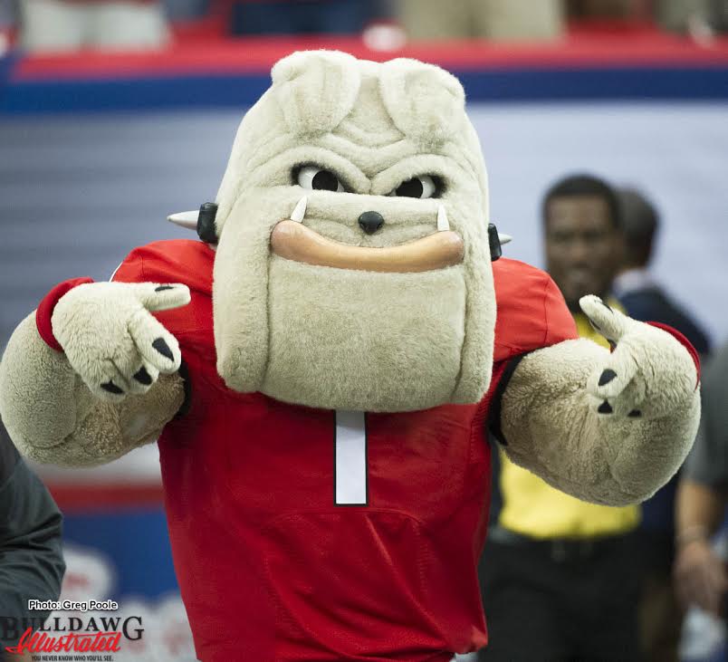 Hairy  Dawg