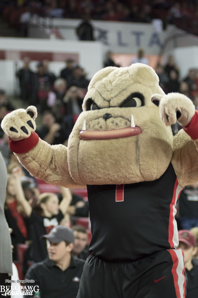 Hairy Dawg representing at a Georgia men's basketball home game in the Stege
