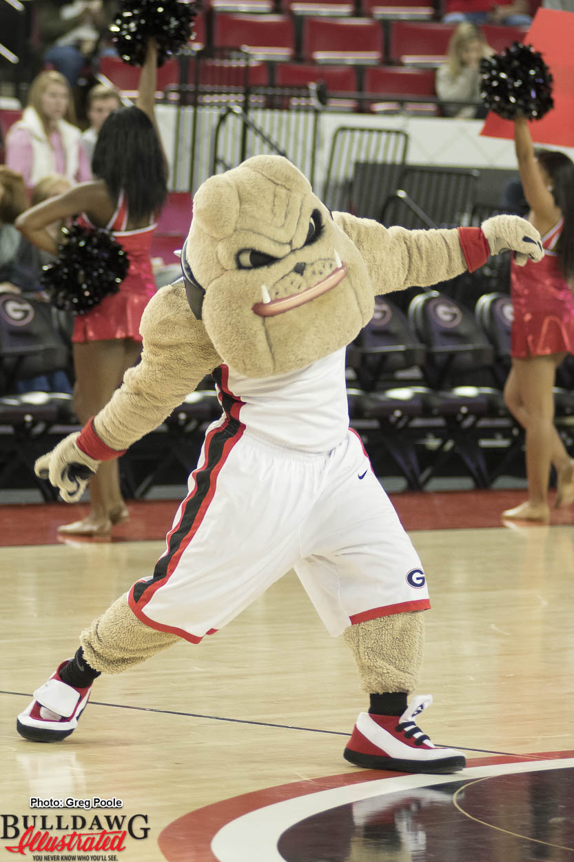 Hairy Dawg fires up the crowd duing a Georgia men's basketball game against Charleston Southern 17-Dec-2016