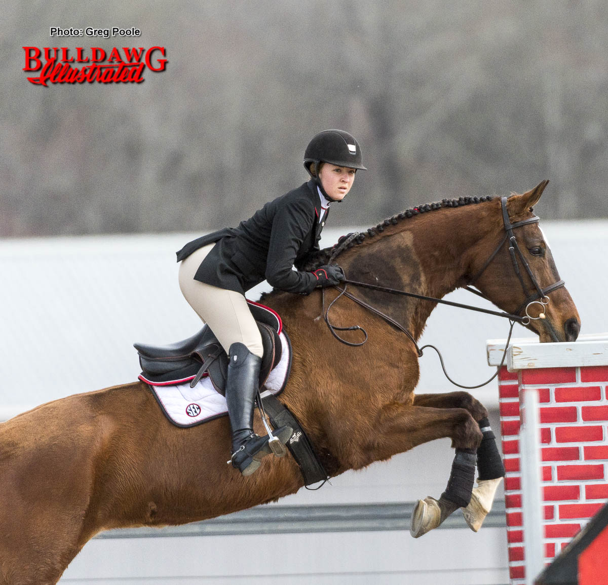 Georgia equestrian team rider and horse compete against South Carolina on Friday afternoon at the UGA Equestrian Complex, Bishop, GA