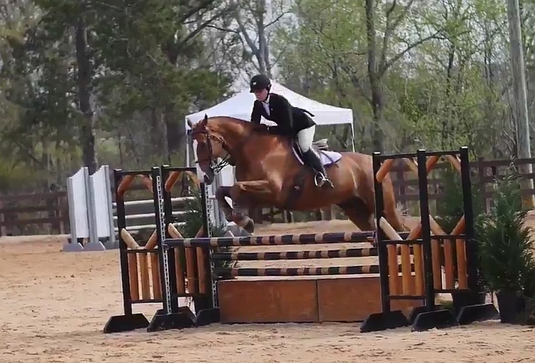 Georgia equestrian team rider and horse competing in the 2017 SEC Equestrian Championship finals 2017-MAR-25