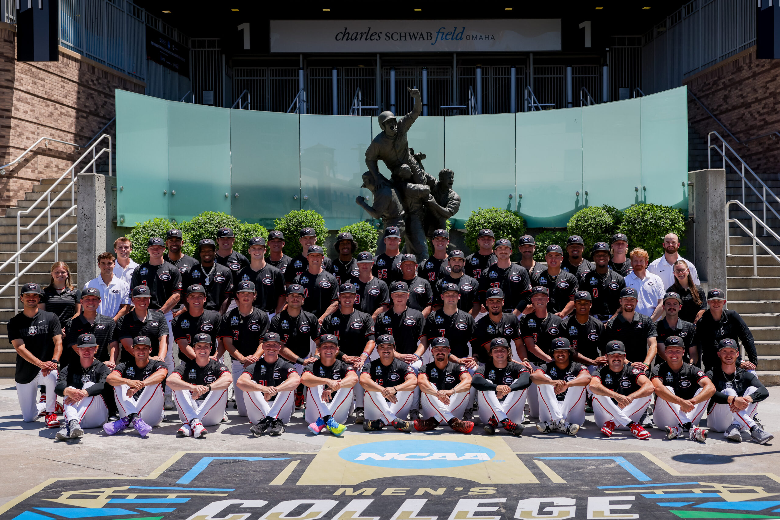 Diamond Dawgs Dominance: A Season in Review