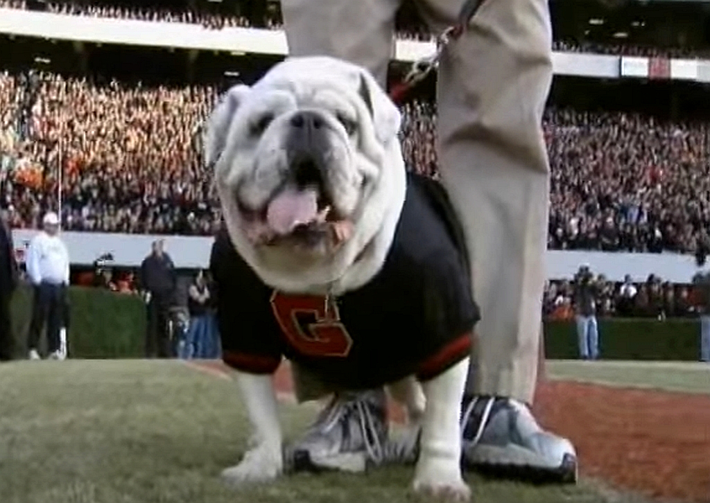 Uga VI dressed out in black for 2007 Georgia 'Black Out' game vs Auburn (YouTube Screencapture)